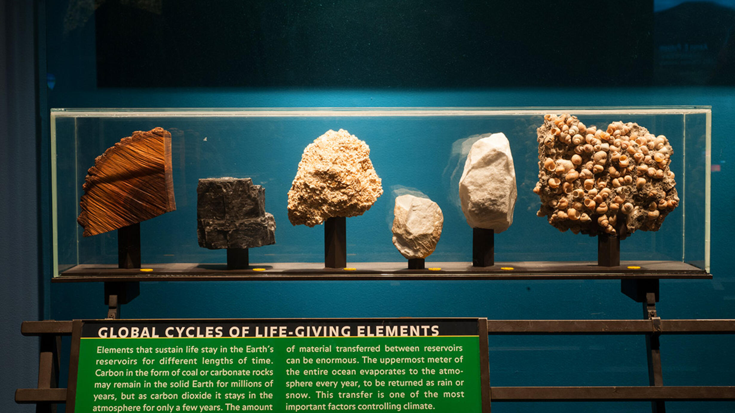 Global Cycles of Life-Giving Elements