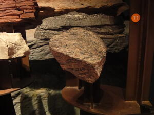 In the Museum’s Hall of Planet Earth, a specimen of gneiss. The rock is mottled with pink, black, and gray-colored mineral content throughout.