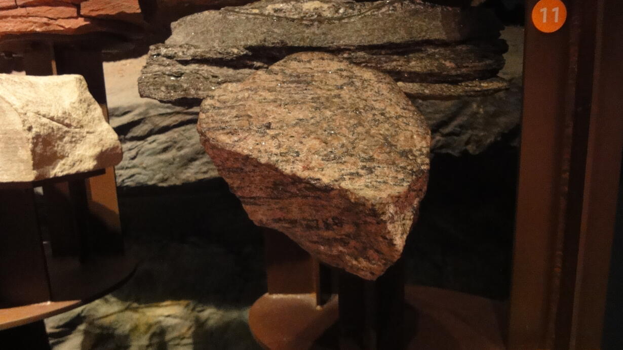 In the Museum’s Hall of Planet Earth, a specimen of gneiss. The rock is mottled with pink, black, and gray-colored mineral content throughout.