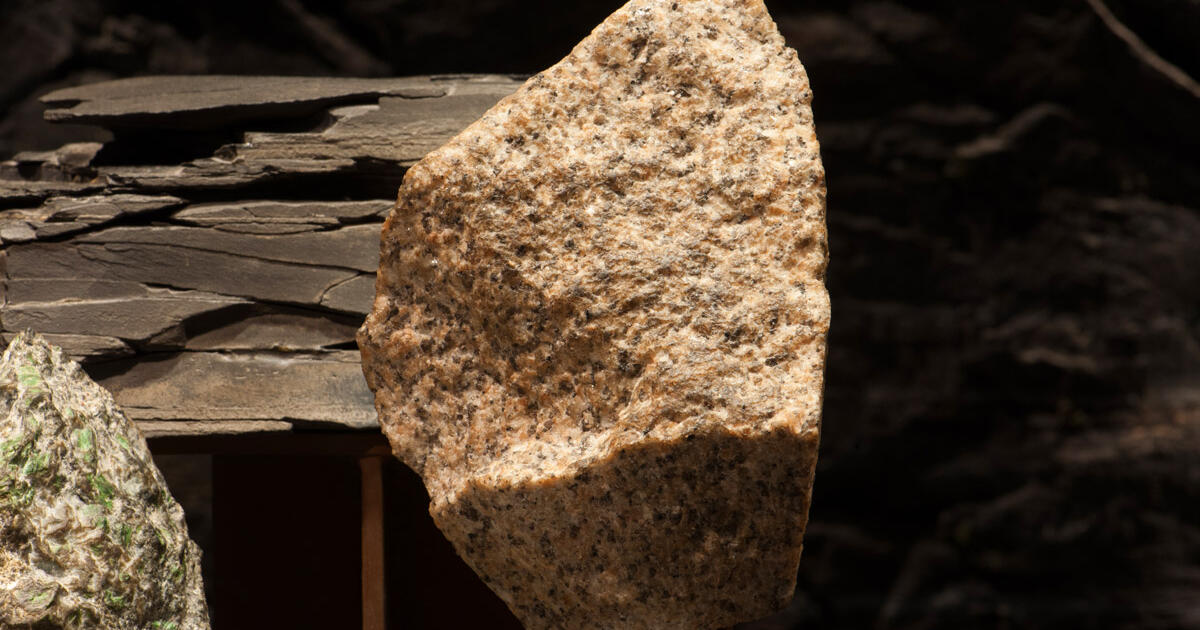 Granodiorite Amnh