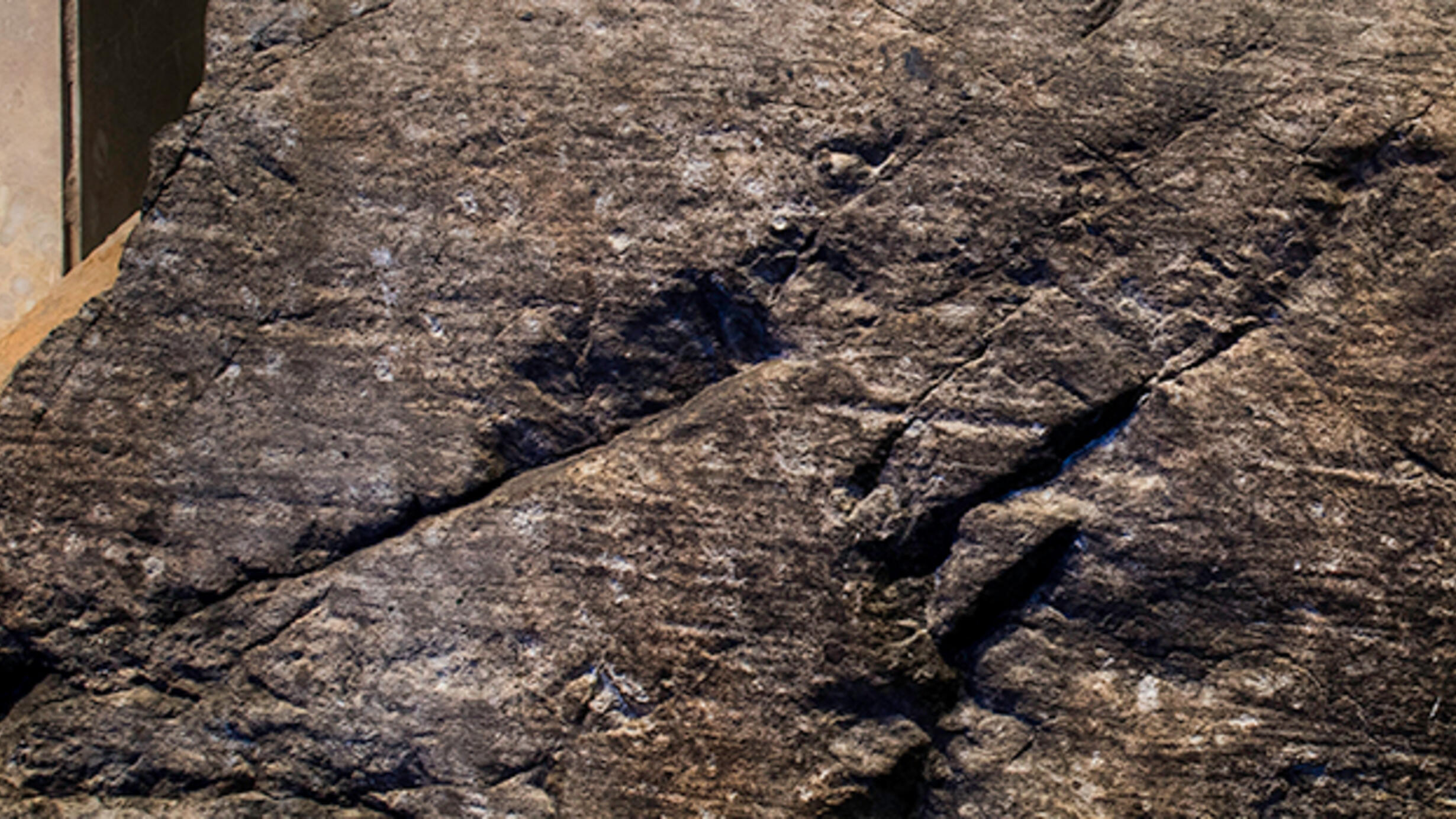 Close-up of grooved boulder in Hall of Planet Earth