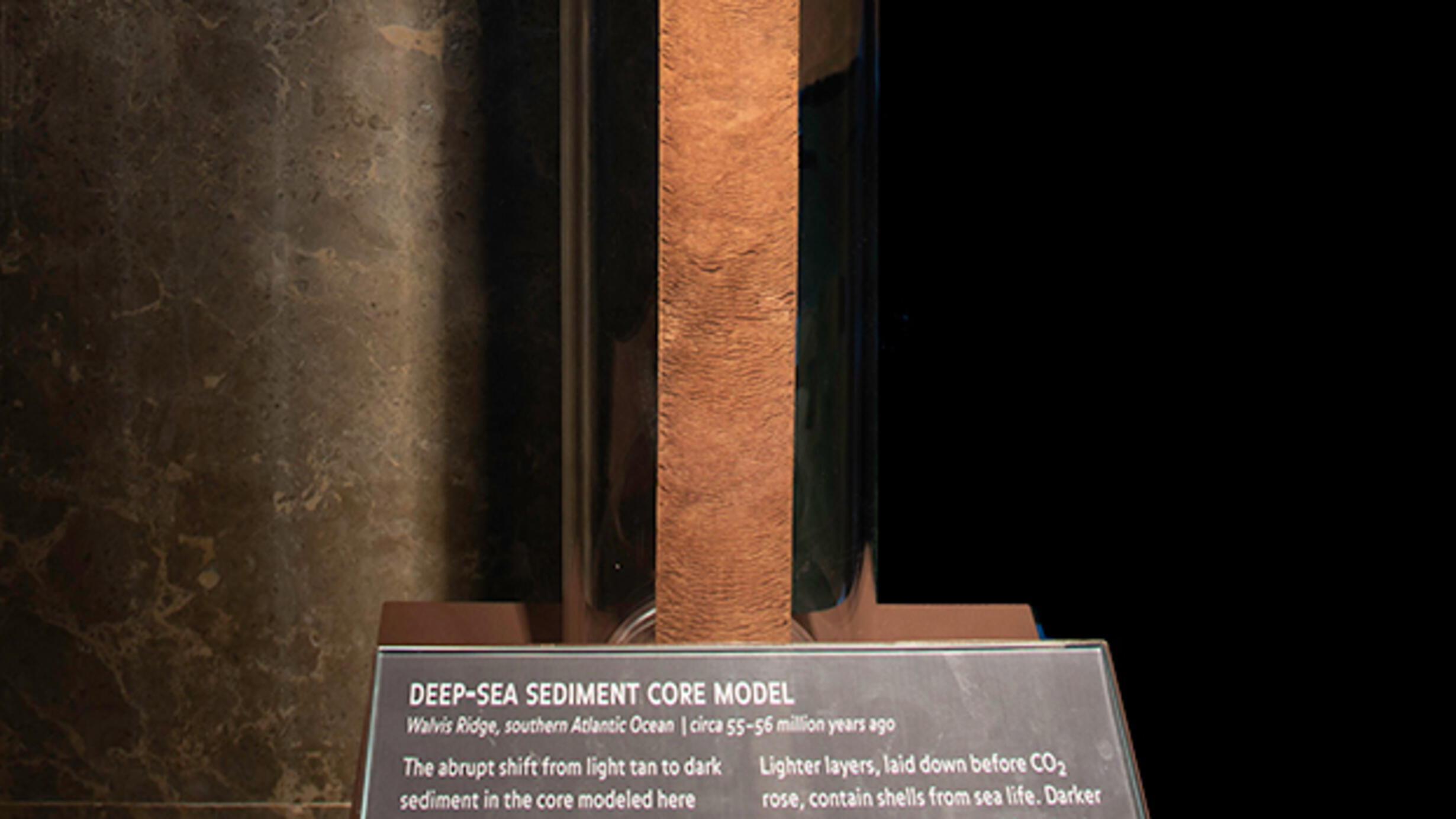 Deep sea sediment core model in the Hall of Planet Earth