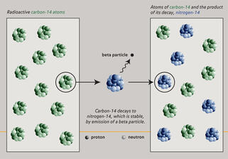 Carbon 14 Decay_ILL