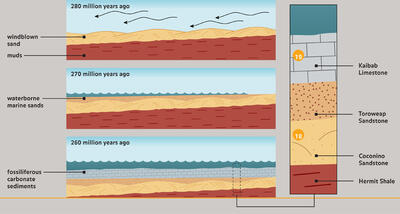 Sea and Wind Deposit Process_ILL