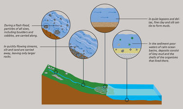 Sediment Transport Process_ILL