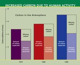 The missing carbon_ILL