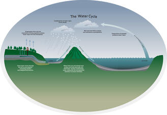Water Cycle_ILL
