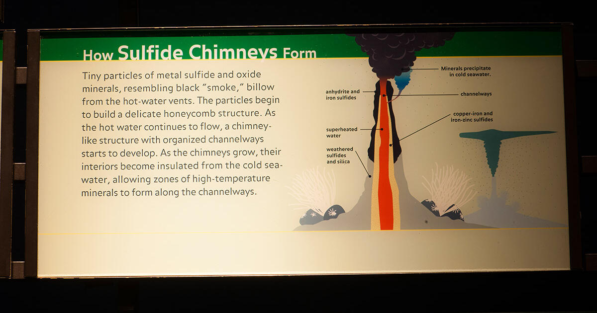 Sulfide Shell How sulfide chimneys form | AMNH