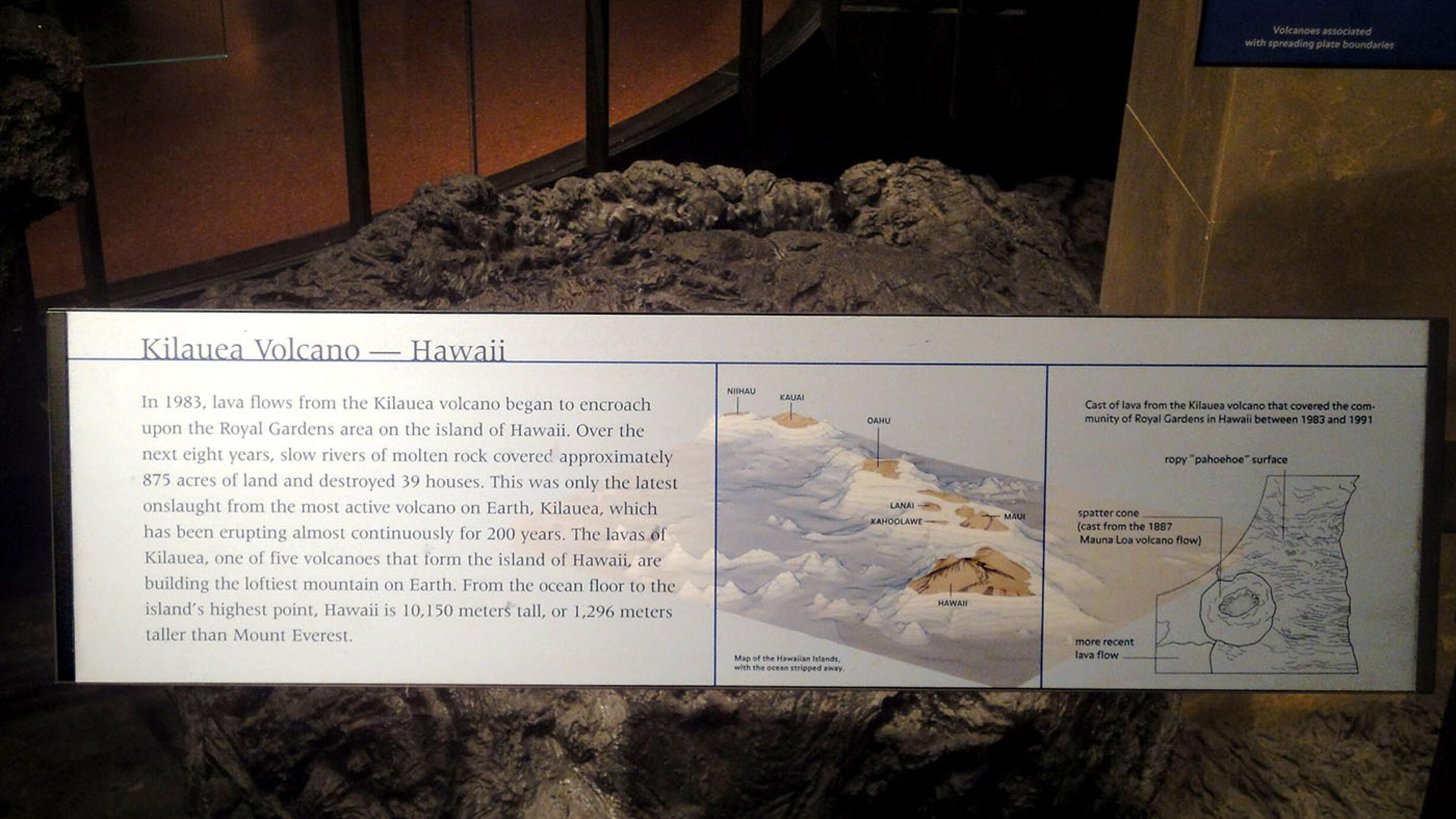 Cast of lava from the Kilauea volcano on display with a large label explaining the history of the 1983 eruption of the Kilauea volcano in Hawaii.