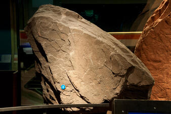 Old Red Sandstone from New York