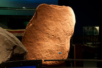 Old Red Sandstone from Scotland