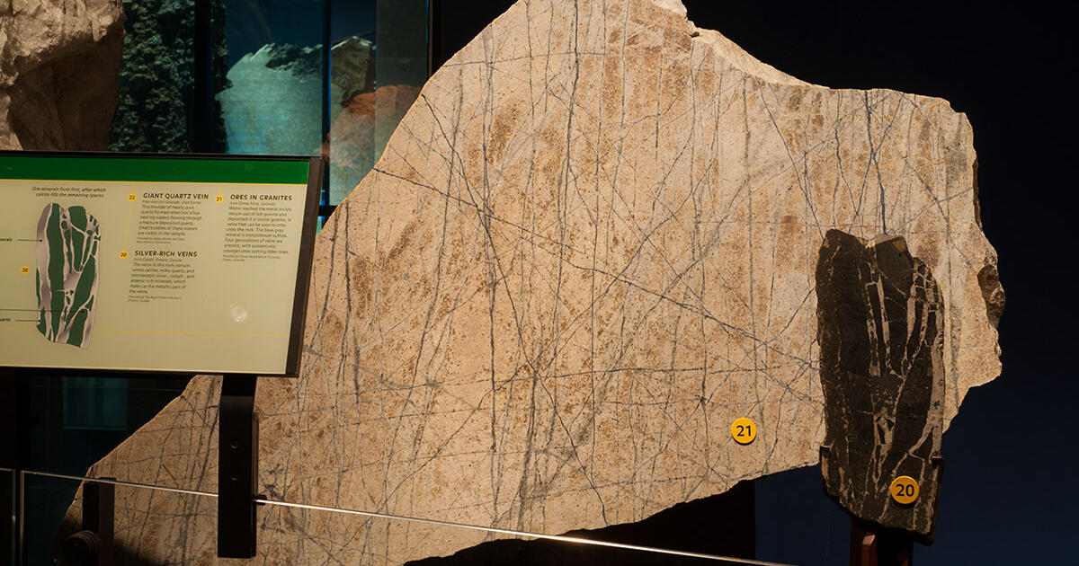Ores in granite | AMNH