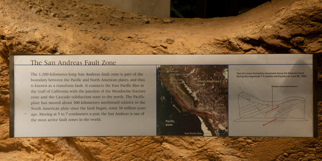 The San Andreas Fault Zone Amnh