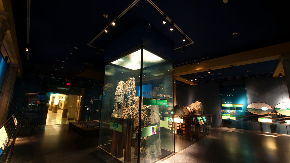 Why is the Earth habitable? | AMNH