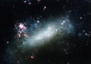 Large Magellanic Cloud