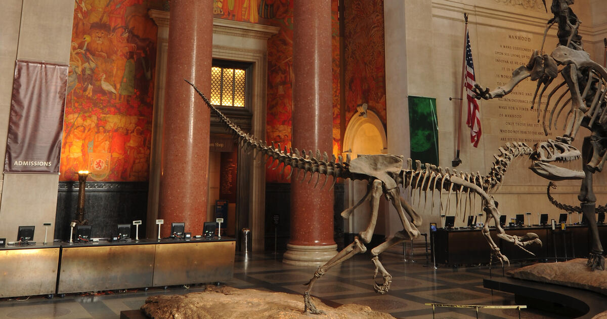 Fossil roosevelt online field
