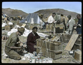 6 people unpacking crates full of cans at a campsite in the desert, with a camel in the background.