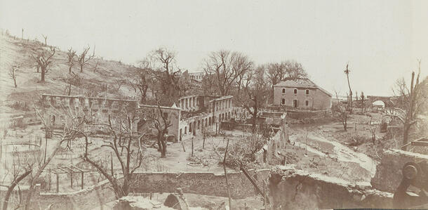 Crumbled buildings and burnt trees on a hill.