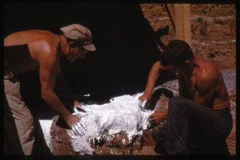 Two people covering a specimen in white strips. 