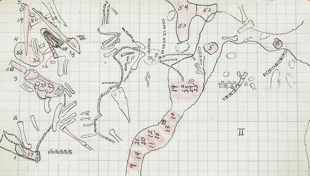 Hand-drawn map of bone locations with numbered illustrations of each bone on gridded paper.