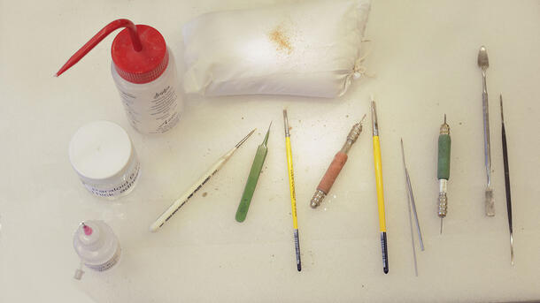 Various brushes, sharp tools, and bottles laid out on blank surface.