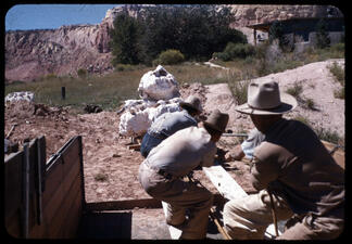 Three people in large hats pull large, rock-like specimens onto a truck via a wooden ramp.