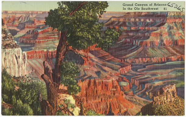 Postcard with text "Grand Canyon of Arizona In the Ole Southwest" and illustration of Grand Canyon and tall tree.