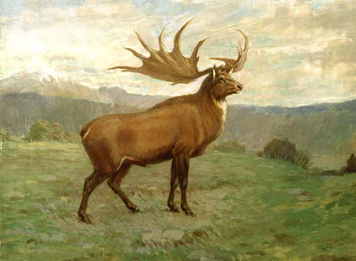 Painting of a knight elk in a field with the sun shining through the cloudy sky above.