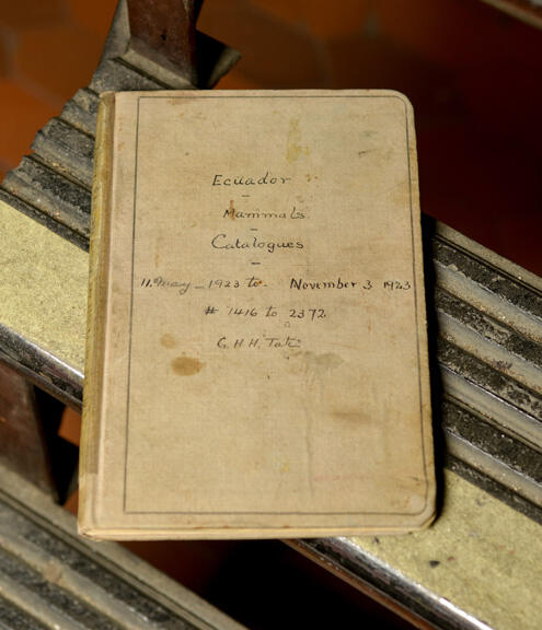 Old, weathered book cover reading "Ecuador-Mammals-Catalogues-11.May-1923 to November 3 1923. #1416 to 2372. G.H.H. Tate.