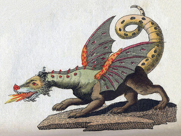 Illustration of a multi-colored dragon breathing fire.
