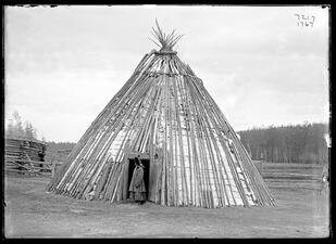 Woman standing at the entrance of a conical, tipi-like structure made of wooden poles and reindeer hides.