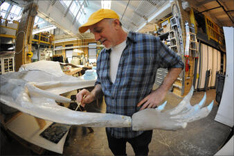 The pterosaur Quetzalcoatlus northropi's leg is refined by an exhibition specialist for a model of the animal featured in the Pterosaurs: Flight in the Age of Dinosaurs exhibition at the American Museum of Natural History in New York.