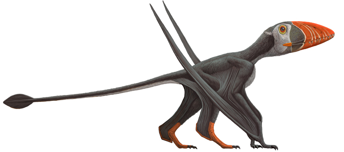 What Is A Pterosaur 