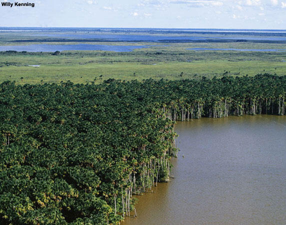 Lagoon with trees on land next to water