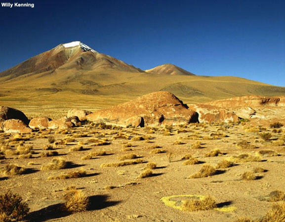 Desert environment with mountains in the background