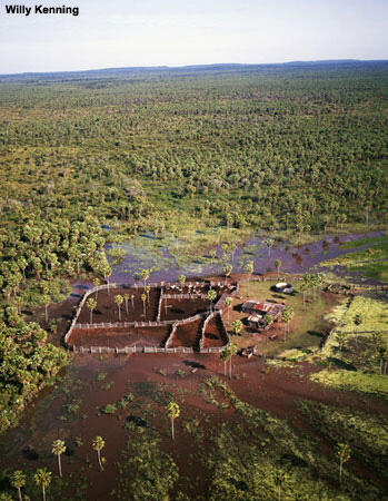 Wetland environment