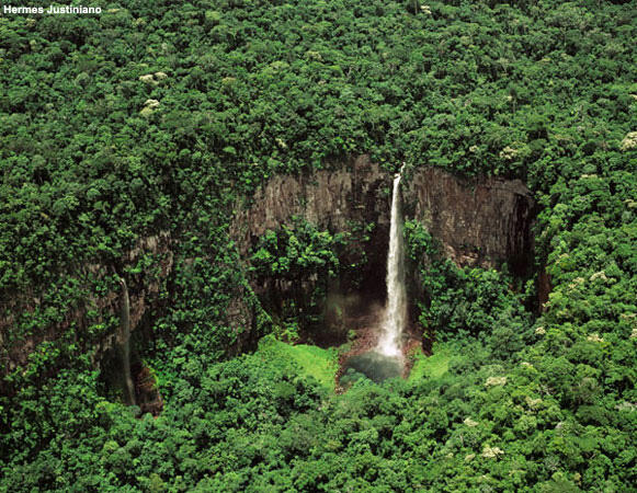 Forest environment with waterfall