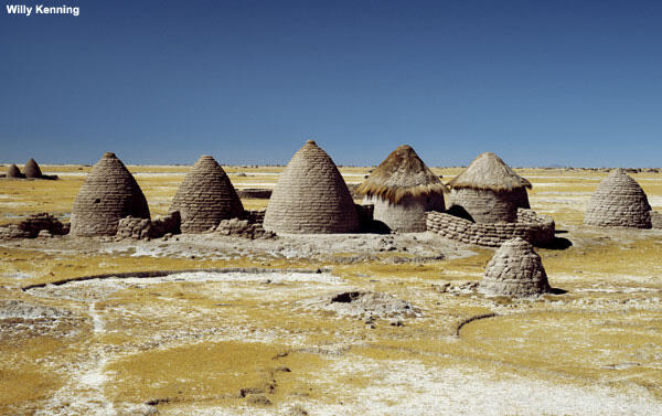 A line of traditional rounded homes of the Chipaya people, Bolivia.
