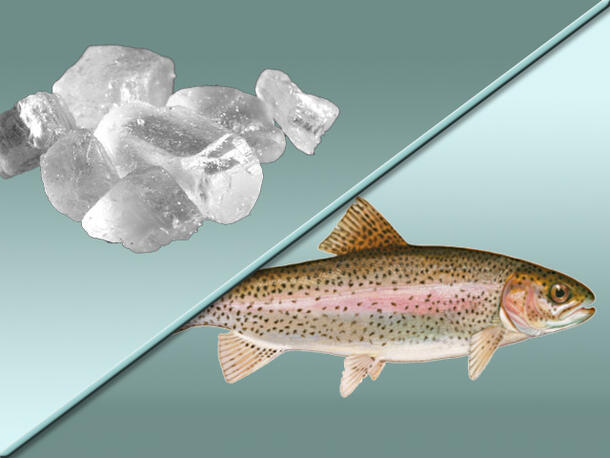 biotic abiotic main image