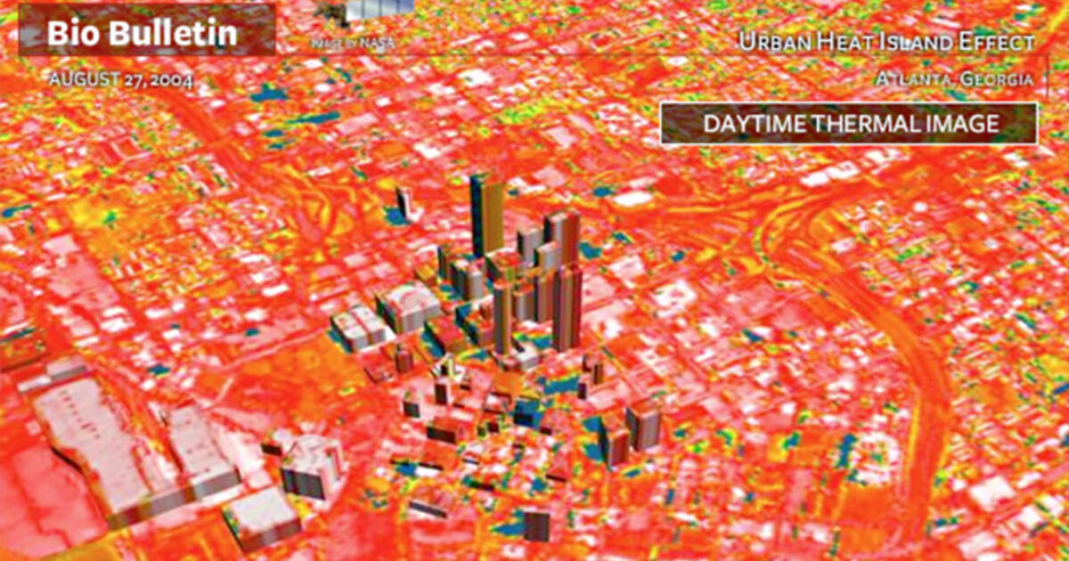 Urban Heat Island Effect Amnh