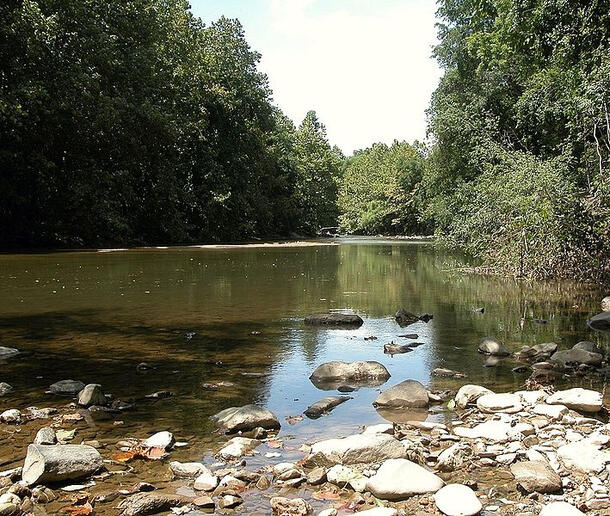 Patapsco River