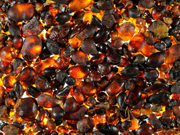 Droplets of Italian Triassic amber 