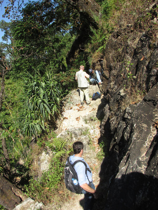 Three people hiking, two of them resting at a rock ahead of the third person. To the left, there is lush greenery and to the right, there's dark rock.