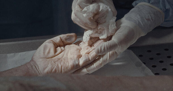 A person's gloved hands wipe the hand of a cadaver.