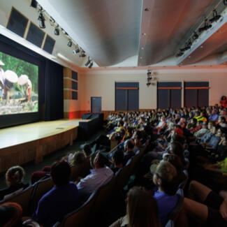 A seated audience in Kaufmann Theater watch a screen displaying an image of four people in conical straw hats working outside.