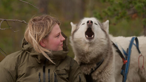 Hege, a teenage girl, sits beside a sled dog who has its mouth wide open. 