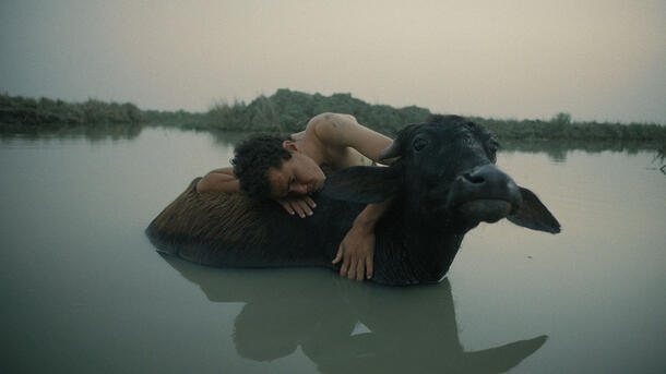 Ibrahim stands in waist-deep water and hugs a buffalo, resting their cheek on the buffalo's back.