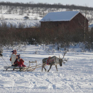 A person wearing an embroidered hat sits on a sled led by a reindeer through snow, with another reindeer following behind. 