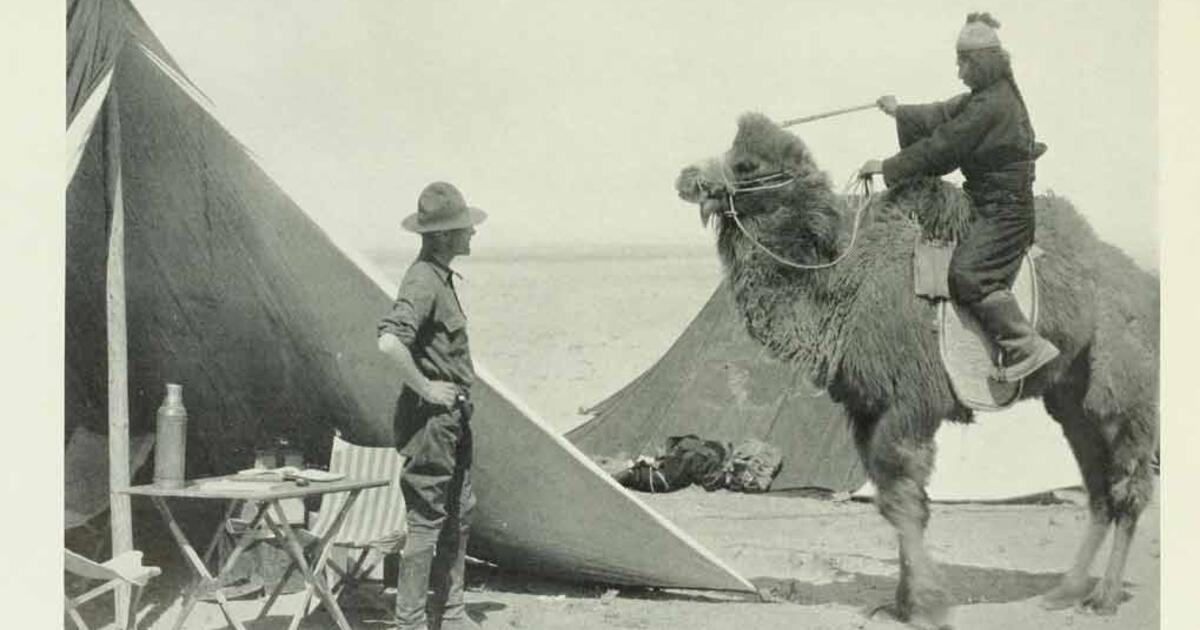 Roy Chapman Andrews An Adventurous Life Amnh