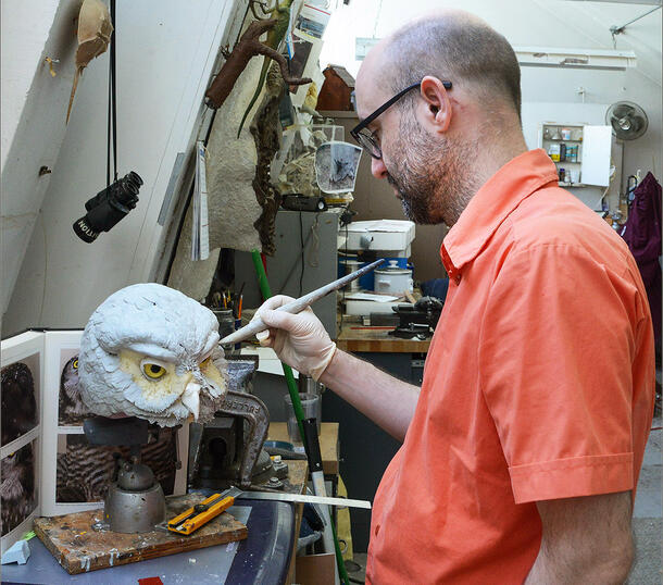 The head of the owl model is mounted on a base and Brougham uses a sculpting tool to create feathers.